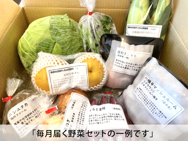 野菜セット3000円分